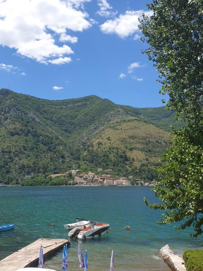 Savic * Kotor