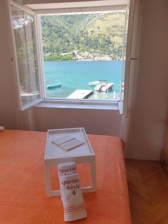 Savic * Kotor