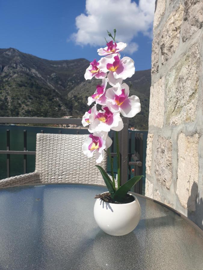 Savic Kotor
