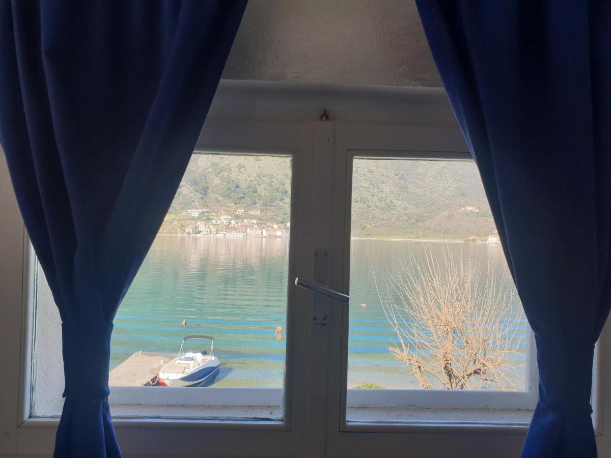 Apartment Savic *